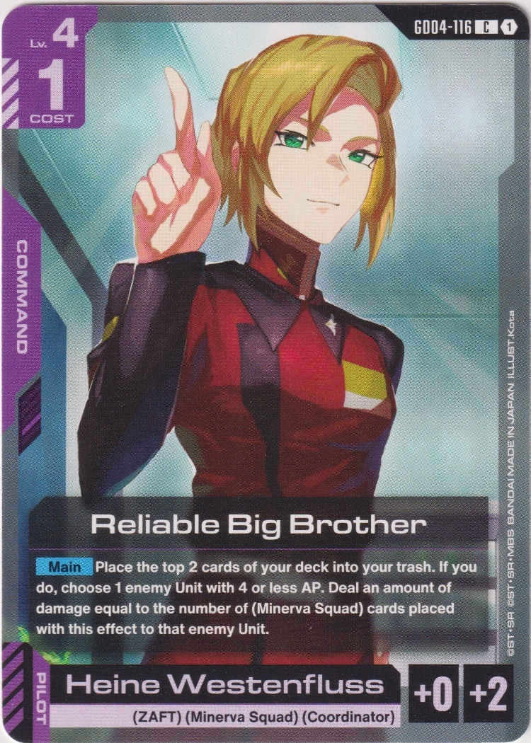GD04-116 - Reliable Big Brother