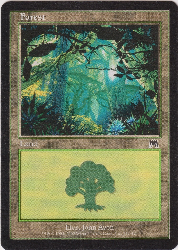 ONS-347 - Forest