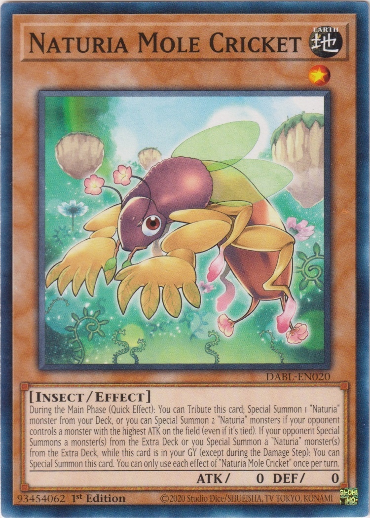 DABL-EN020 - Naturia Mole Cricket