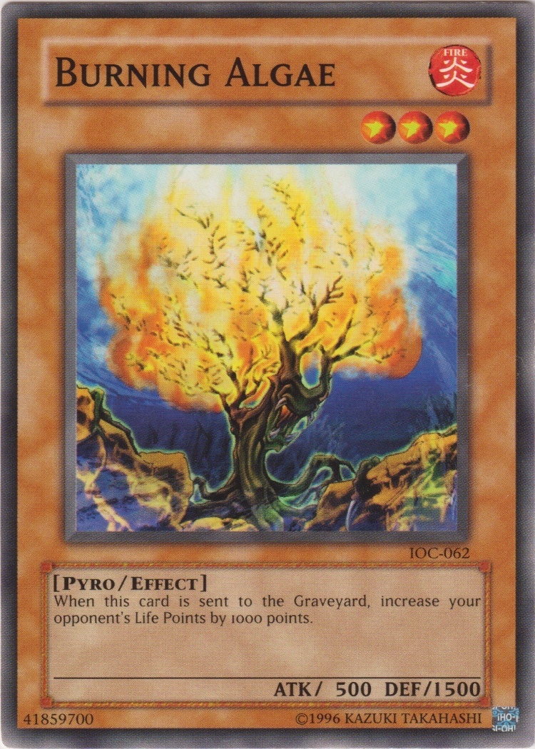 IOC-062 - Burning Algae