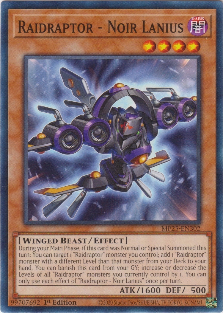 MP25-EN302 - Raidraptor - Noir Lanius